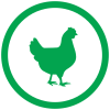 chicken_icon.png