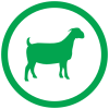 goat_icon.png