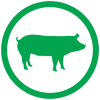 pig_icon.png